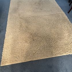 Off White 8 x 5 Shag Area Rug