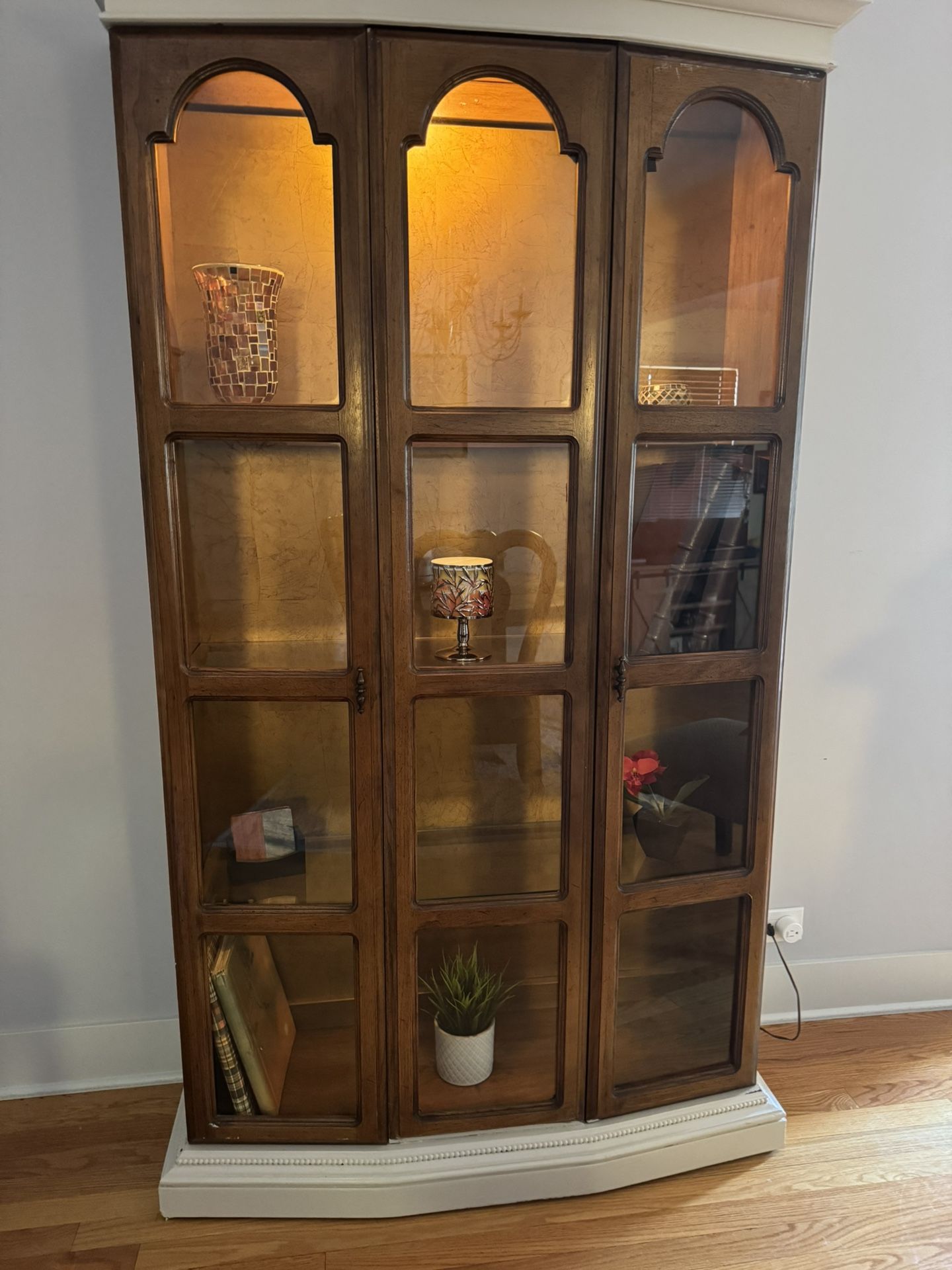 Elegant Lighted Display Cabinet 
