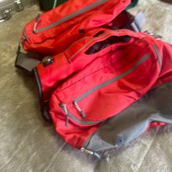 Dog  Harness