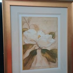Framed Artwork 