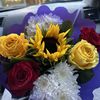 Lily T