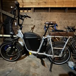 RadRunner Plus Electric Cargo Utility Bike
