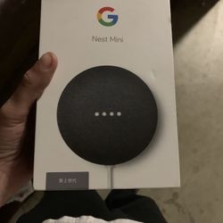 google home mini 2