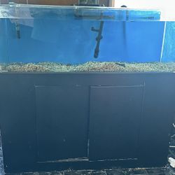 Fish Tank Stand