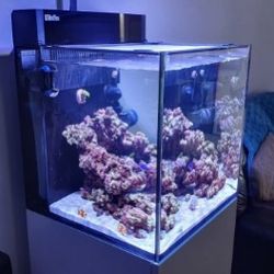 Red Sea Max Nano G2 Aquarium With Many Accessories!