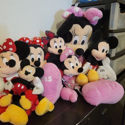 Collection 