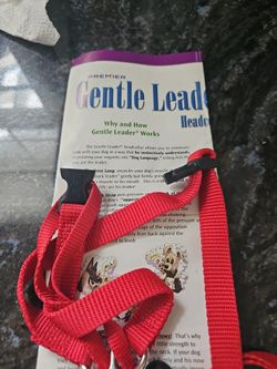 Gentle Dog Lead Trainer