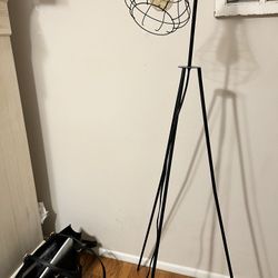 Lamp And Bulbs