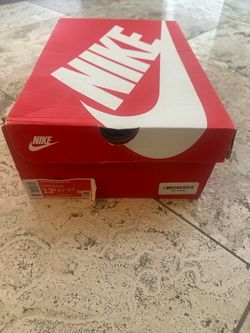 Nike Dunk Low Retro Size 12.5