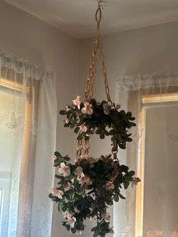 Hanging Plant Holder & Plant