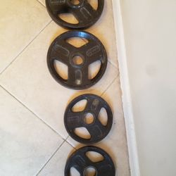 70bs Wieder 2" Weights 