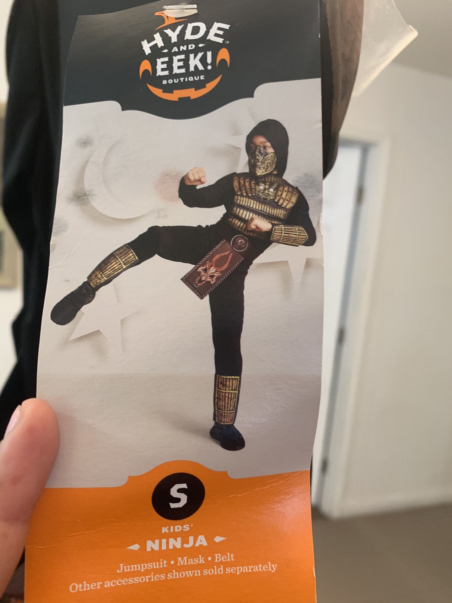 Costume ninja