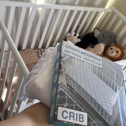 Crib set including sheets, mattress cover and mesh liner