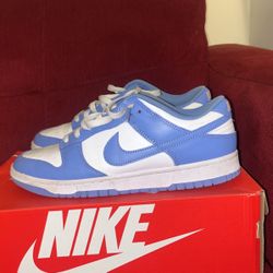 polar dunks (8) (40)