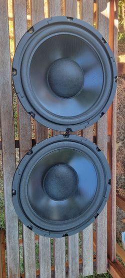 Radioshack 401026a 12inch woofers. Pick up only