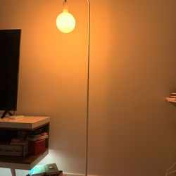 Minimalist Floor Lamp