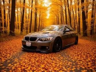 2013 BMW 335i