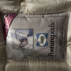 Queen Mattress And Box Spring 