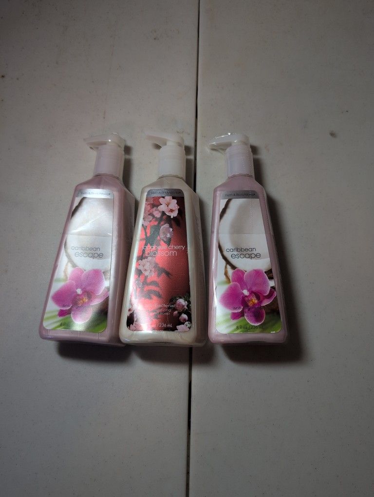 Bath & Bodyworks Hand Soap - New