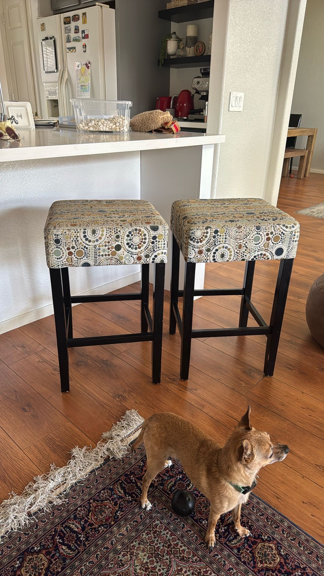 X2 Bar Stool
