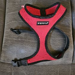 Small Dog Harness 