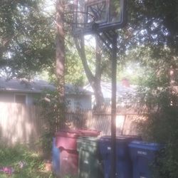 Basketball 🏀 🏀 Hoop Great Condiction Ready To Ride 