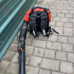 Echo Backpack Blower