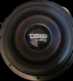 12in DS 18 Speaker