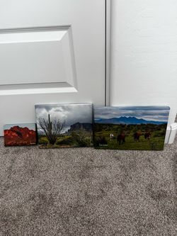 Arizona Canvas Pictures