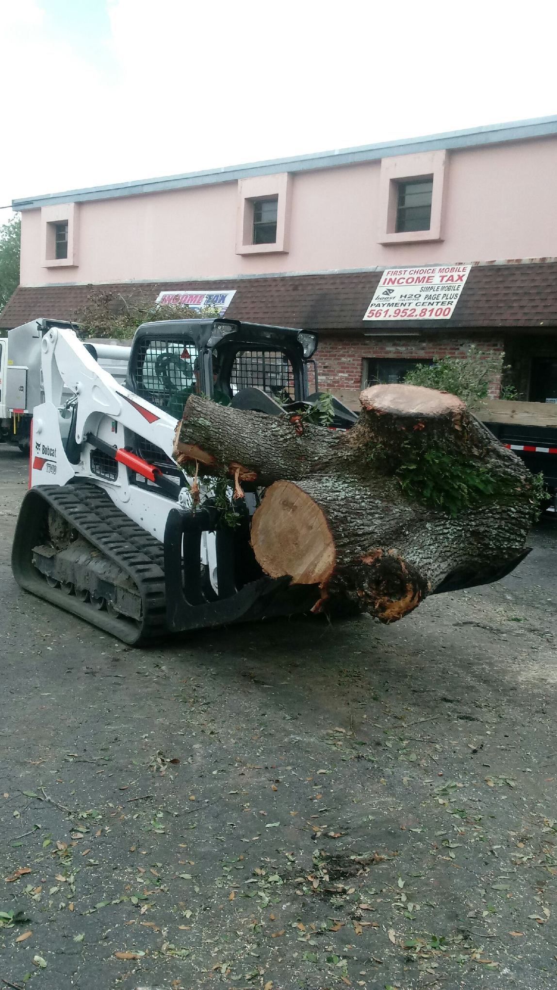 Bobcat 