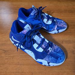 Nike PG 6 Blue Paisley