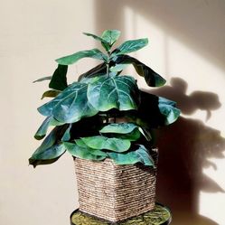 Artificial Faux Fiddle Leaf Fig Tree Rattan basket plant / House Decor plant