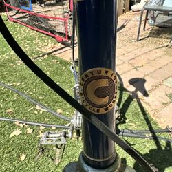 Centurion Vintage Bicycle 