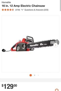 Electric chainsaw