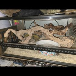 24x12x18 Reptile Enclosure 