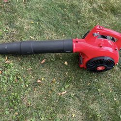 Gas Leaf Blower