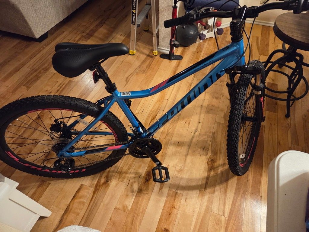 Schwinn High Timber Bike