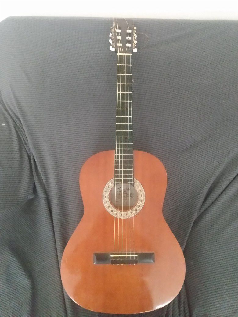 Lucida Acoustic Guitar