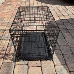 Small animal cage