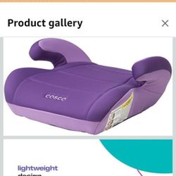 Purple Booster Seat
