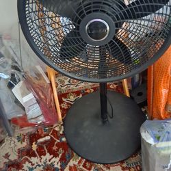 Great Black Strong Fan