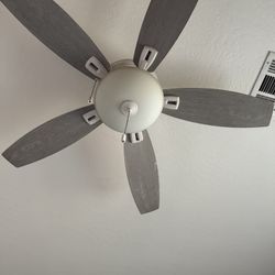 Ceiling fan