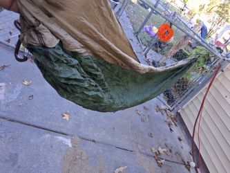 Hammock