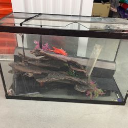 Medium Sized Fish Tank & Decorations 