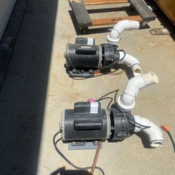Spa / Pool Pumps
