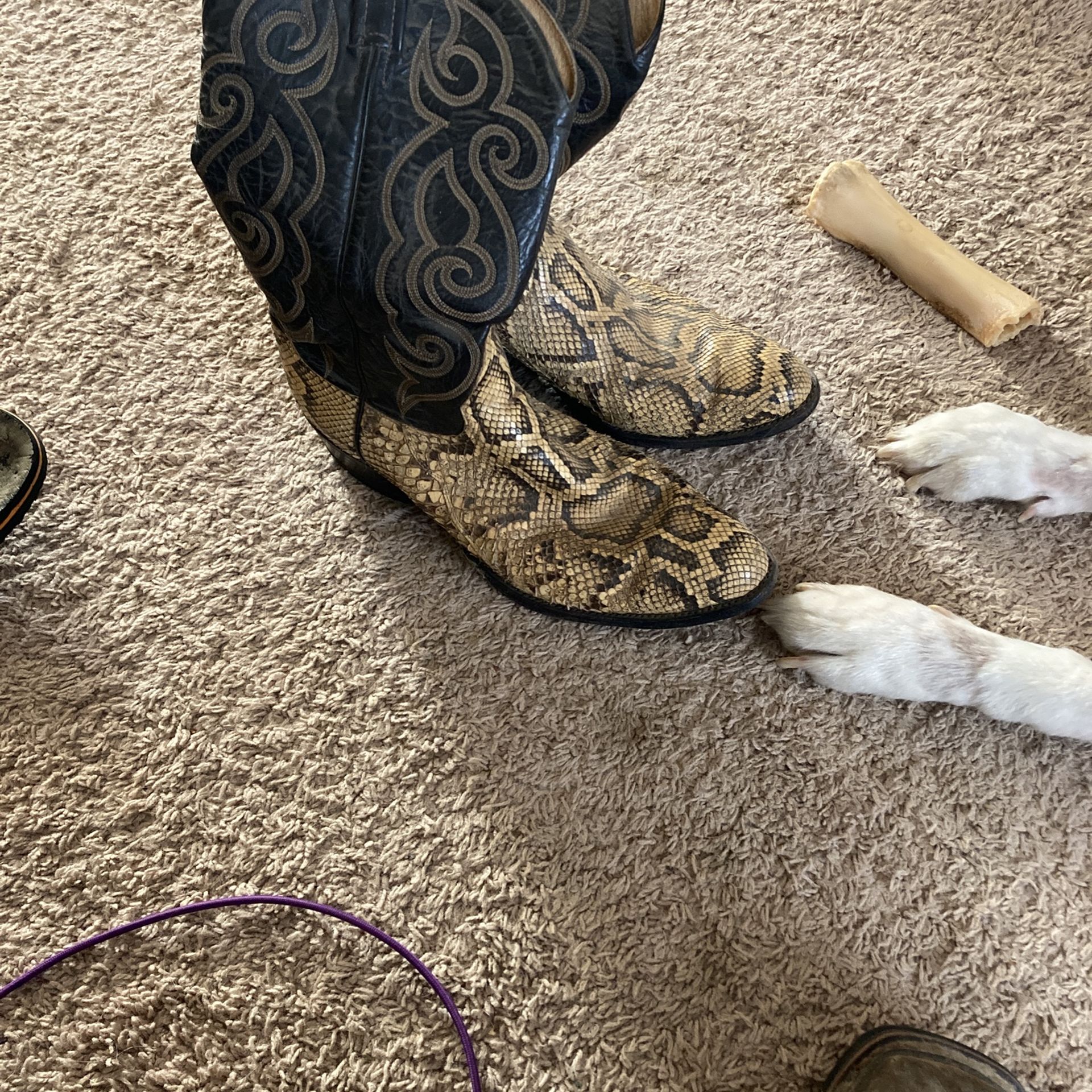Rattlesnake Tony Lama Boots