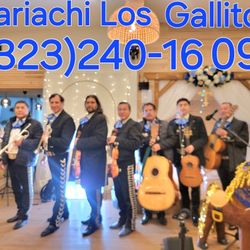 Mariachi Band For Hire