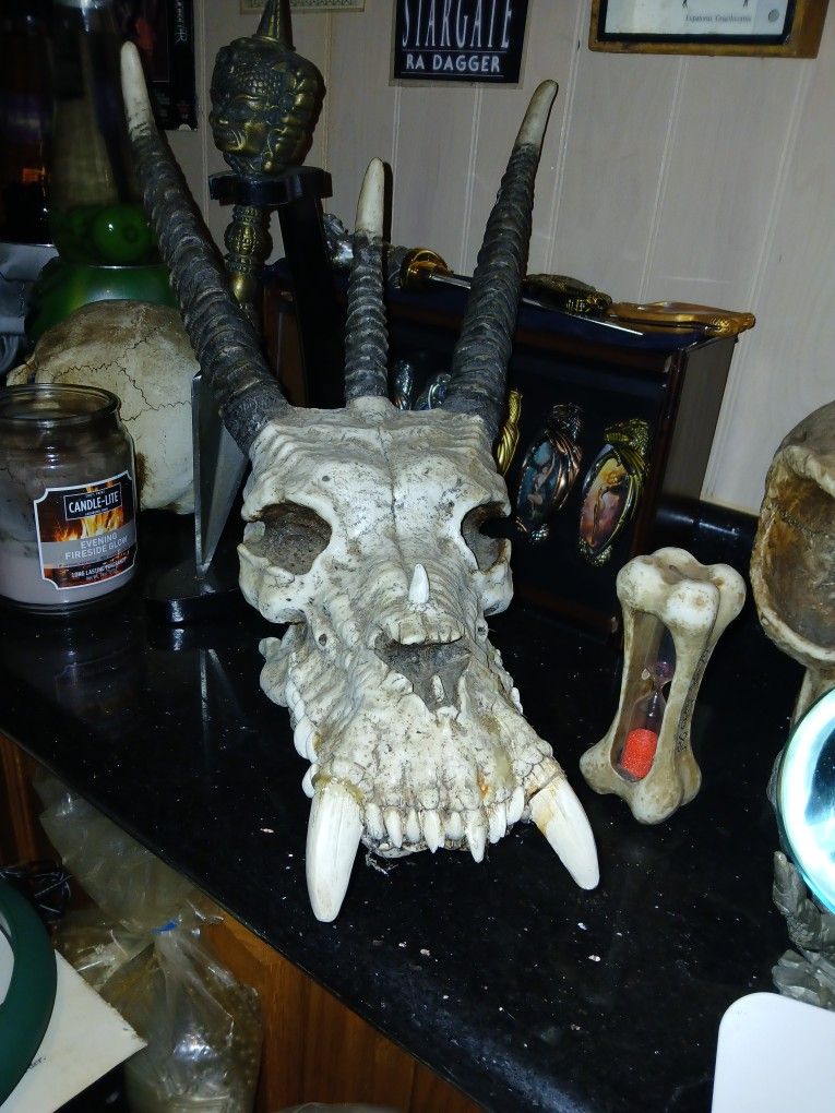 ****Dragon Skull**