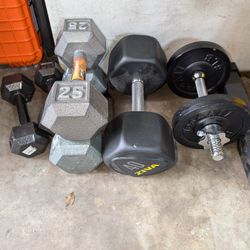Assorted Weights And Bench