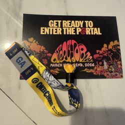 4 Day Okeechobee Music Fest 